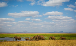 Tanzania Highlights Safari, 10 Tage