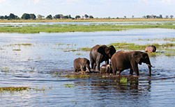 Lower Zambezi NP