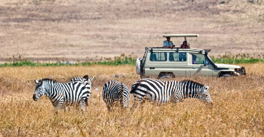 Namibia Safari Adventure 4x4
