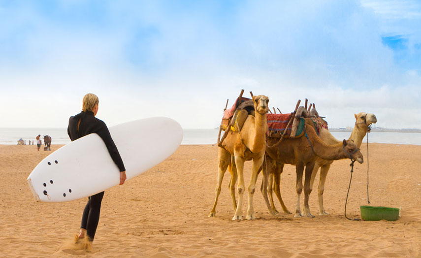 Essaouira Marokko Surferin Kamele