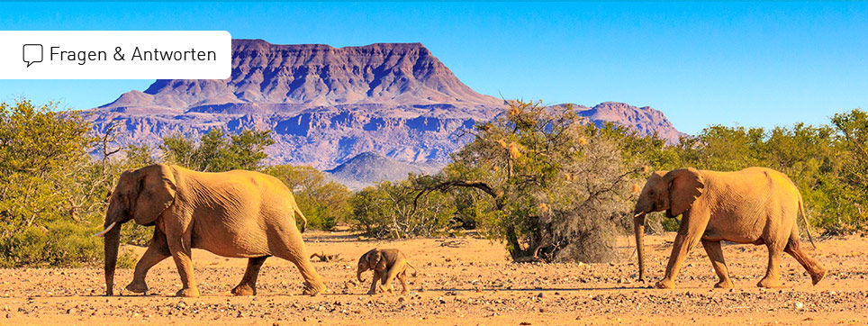 FAQ Namibia Rundreisen Namibia Rundreisen FAQ