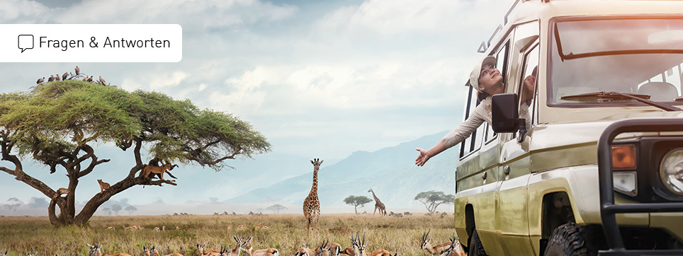 Afrika Safari Fragen und Antworten Afrika Safari FAQ