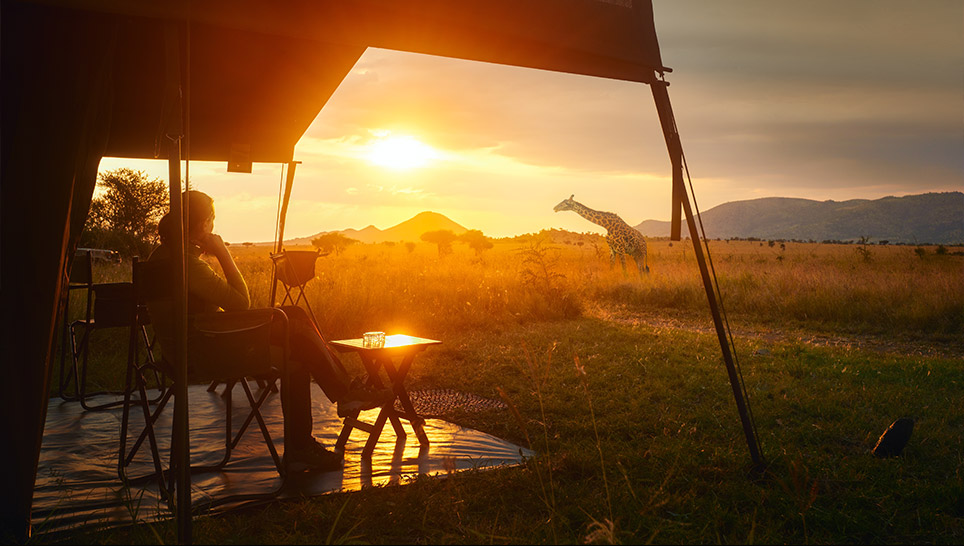 Sonnenuntergang Safari Tansania Afrika Safari Sonnenuntergang