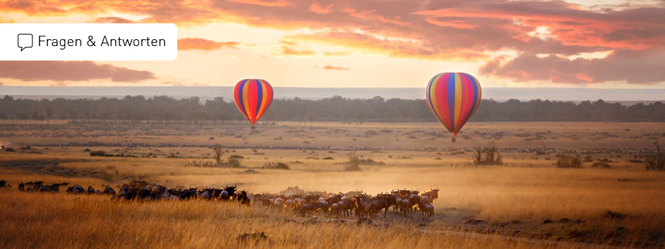 Kenia Reisen Tipps Kenia Reisen FAQ