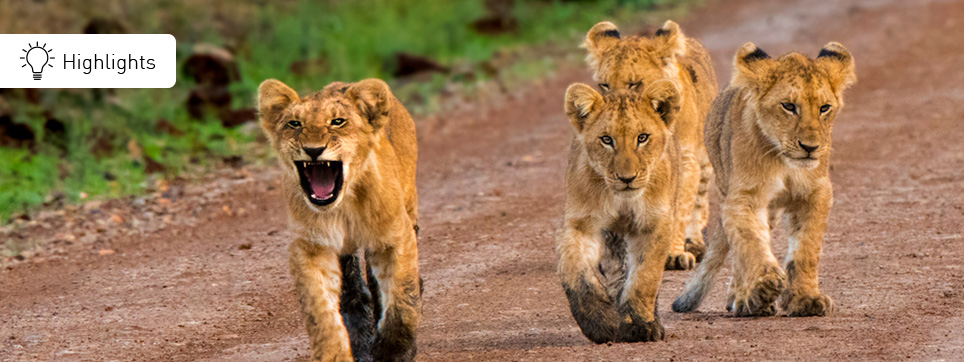 Kenia Highlights Kenia Reisen Highlights
