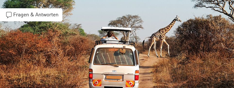 Safari Südafrika Fragen & Antworten Südafrika Safari FAQ
