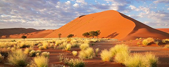 Abenteuerliche Safaris unter dem endlosem Horizont Namibias
