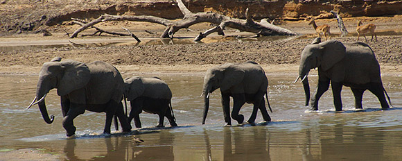 Reiseinfos für erholsame Ferien in Sambia und Simbabwe
