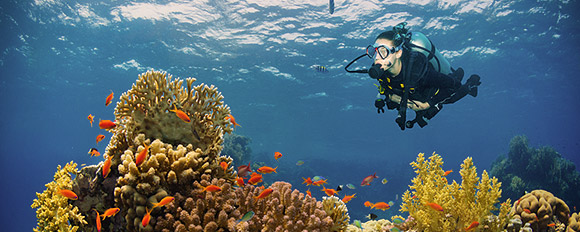 Entdecken Sie die atemberaubende Unterwasserwelt von Sansibar
