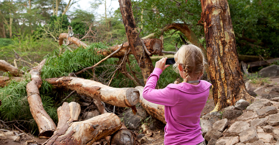 Safari Kinder Kenya Urlaub beobachten Feldstecher