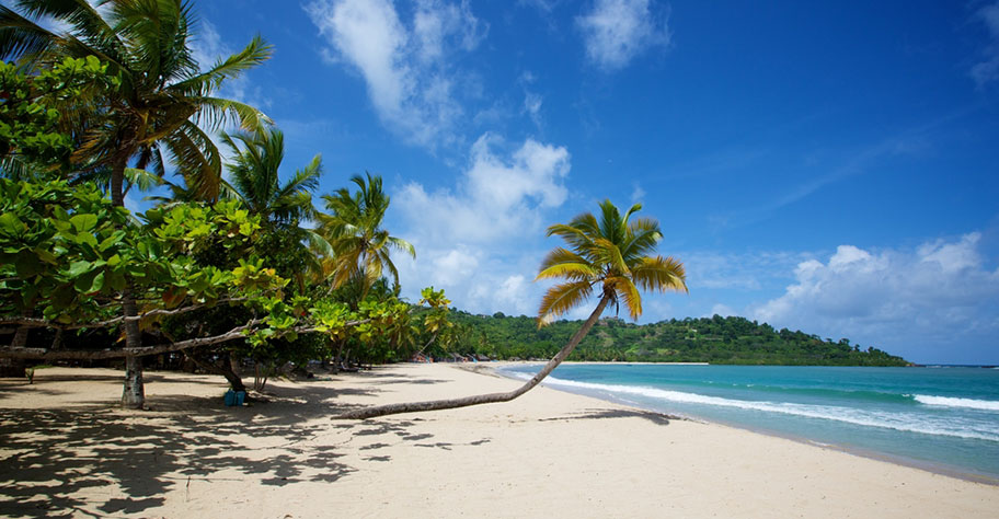 madagskar hochzeitsreise nosy be schöner strand mit sicher und palmen nicht kuoni
