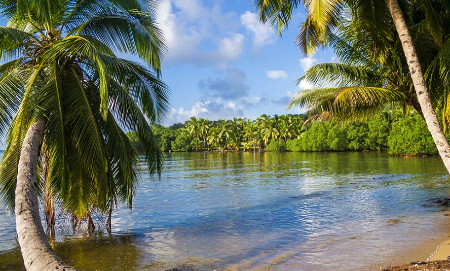 Madagaskar Tauchferien Strand Insel Saint Marie Palmen Paradies