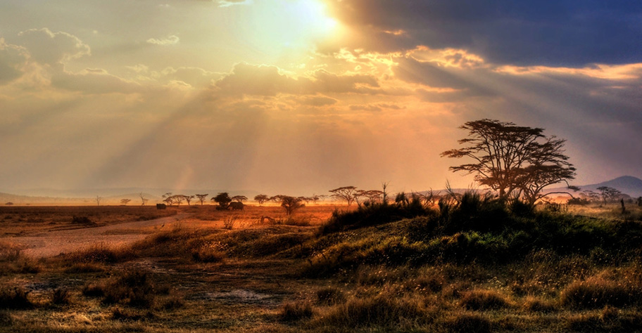 Namibia Landschaft Natur wunderschön Romantik