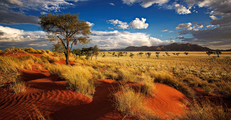 Namibia Safaris rote Dünen
