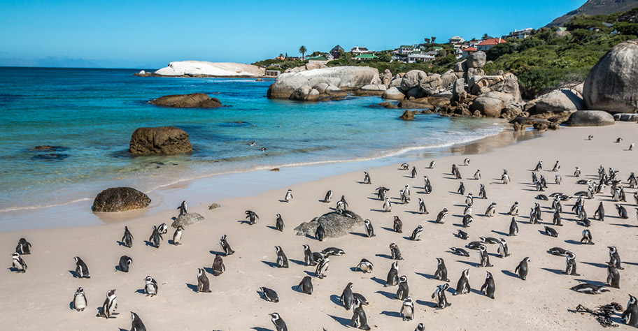 Südafrika Reisen mit Kindern günstig