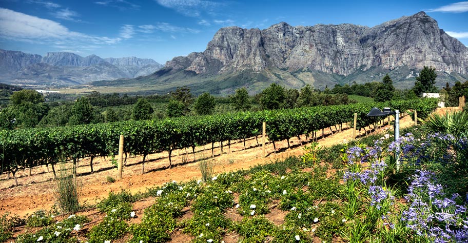 Wein-Reisen Südafrika Landschaften