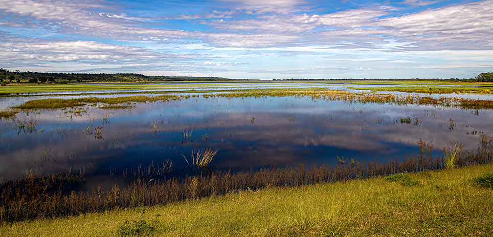 Region Zambezi