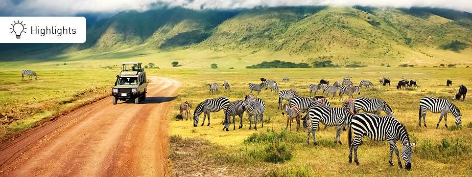 Afrika Safari Highlights