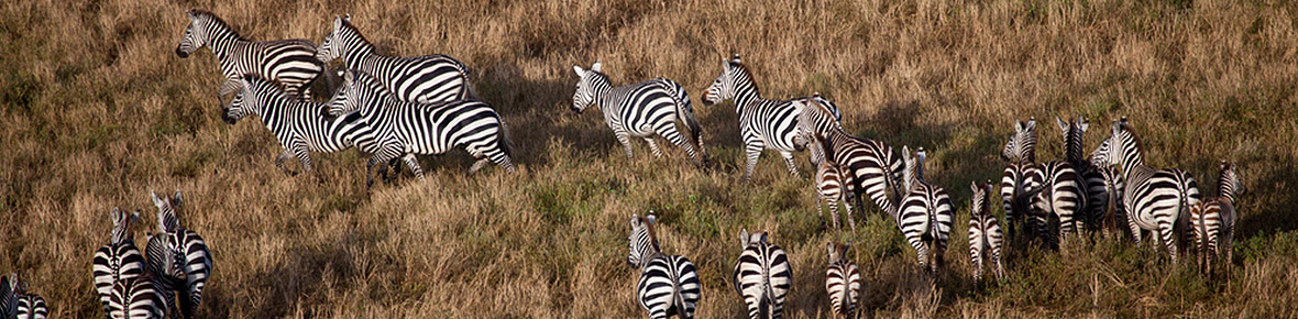 Botswana Flugsafaris