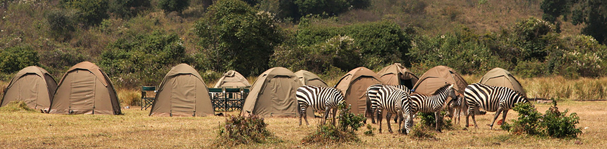 Botswana Campingssafaris