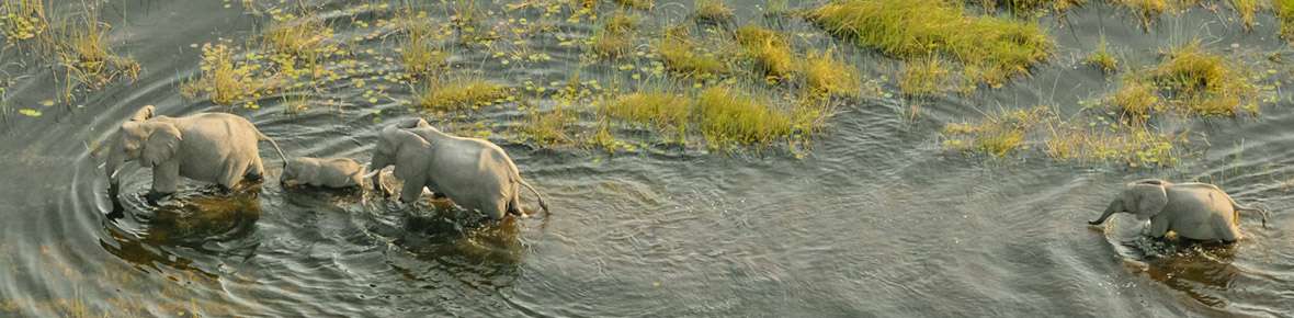 Botswana Flugsafaris