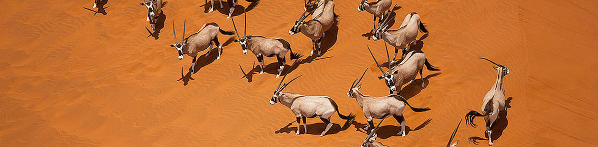 Namibia Flugsafaris