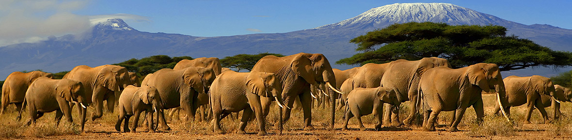 Hotels &amp; Safari Lodges Amboseli Nationalpark