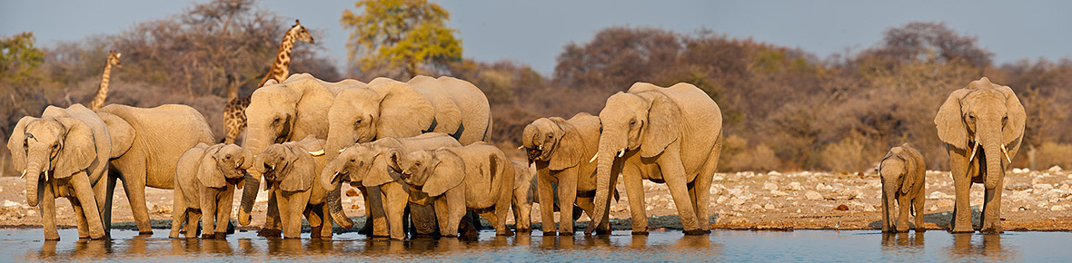 Hotels &amp; Lodges Etosha Nationalpark