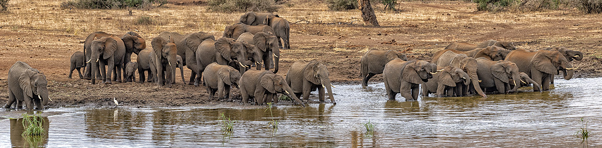 Safari Lodges Krüger Nationalpark