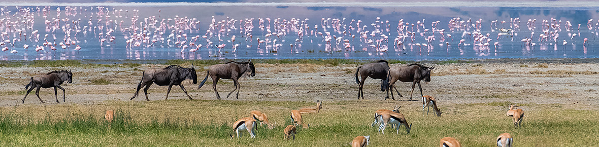 Hotels Lake Manyara