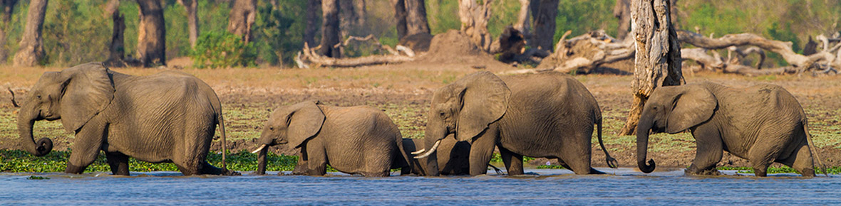 Hotels &amp; Safari Lodges Mana Pools Nationalpark &amp; Lake Kariba