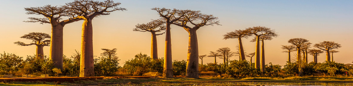 Hotels Morondava