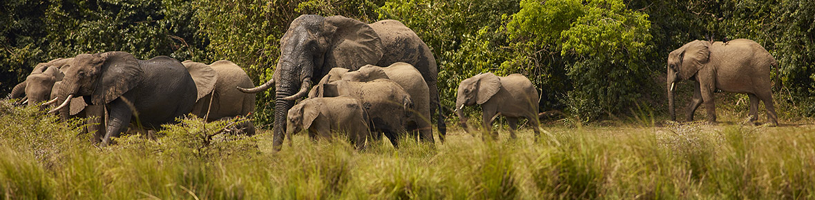 Hotels Murchison Falls Nationalpark