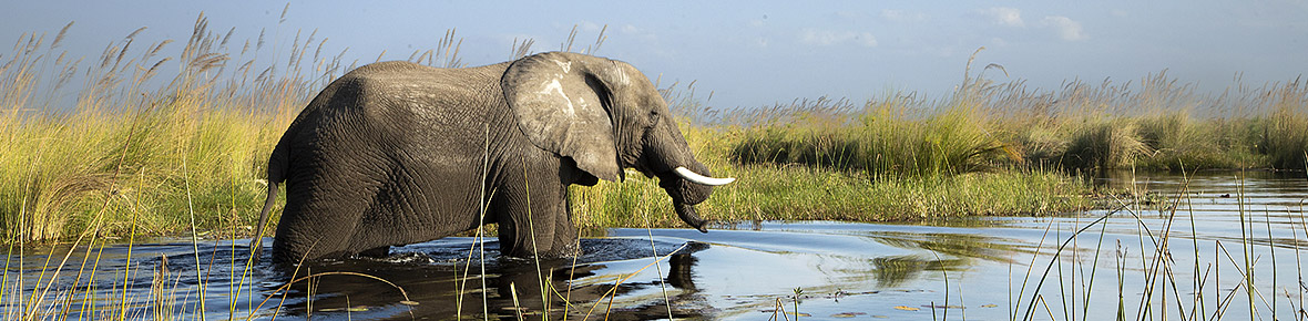 Safari Lodges &amp; Camps Okavango Delta