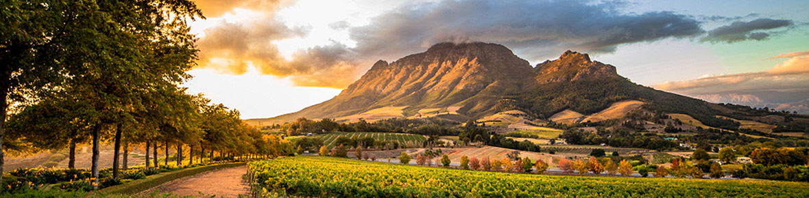 Hotels Stellenbosch