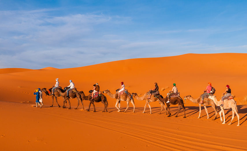 Karawana, Kamel, Wüste, Marokko