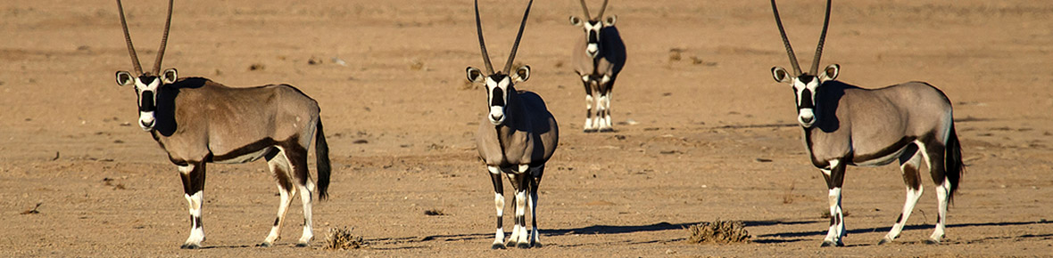 Namibia Rundreisen