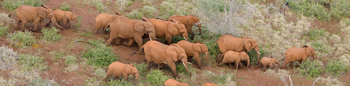 Tansania Flugsafaris