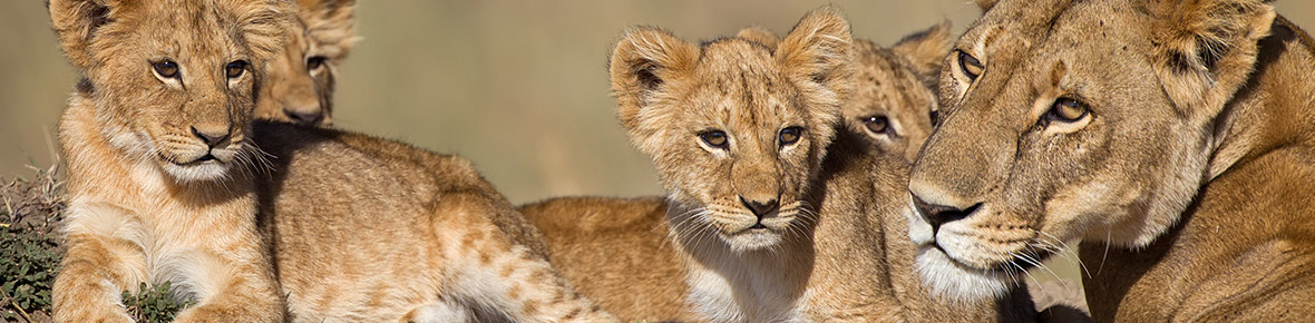 Kenia Reisen mit Kindern